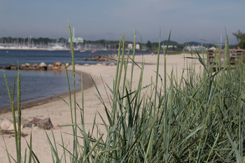 Bild Ostseebad Heringsdorf