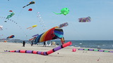 Ferienwohnung in Dahme - Seeblick - Bild 18