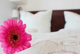Ferienwohnung in Grömitz - Haus Seemöwe - 1-Raum-Ferienwohnung - Kurzurlauber sind außerhalb der Hauptsaison herzlich Willkommen! - Bild 3
