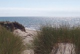 Ferienwohnung in Zingst - Villa Vogelsang, FW 2 - Bild 13
