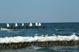 Ferienhaus in Zingst - REMISE - Bild 14