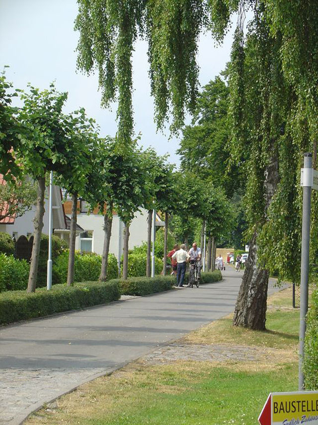 Ferienhaus in Zingst - REMISE - Bild 15