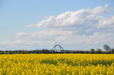 Ferienwohnung in Fehmarn OT Burg - Komfort-Wohnung 03 FehmarnBrise - Bild 13