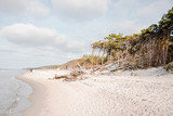 Ferienhaus in Ahrenshoop - Seewind - Bild 7