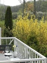 Ferienwohnung in Gustow - Ferienwohnung "Nils Holgerson" mit Balkon zwischen Strand, Wald & Wiese im Südosten der Insel Rügen! - Bild 21