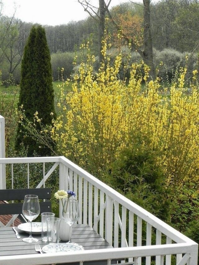 Ferienwohnung in Gustow - Ferienwohnung "Nils Holgerson" mit Balkon zwischen Strand, Wald & Wiese im Südosten der Insel Rügen! - Bild 21