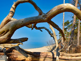Ferienwohnung in Zingst - Traumpier 1 - Bild 22