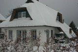 Ferienhaus in Heringsdorf - Reethus Sternenkikker inkl. Strandkorb am Ostseestrand - Bild 20