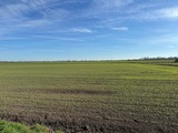 Ferienwohnung in Fehmarn OT Bannesdorf - Ferienwohnung Albert - Bild 1