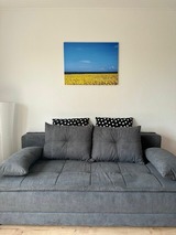 Ferienwohnung in Fehmarn OT Bannesdorf - Ferienwohnung Albert - Bild 8